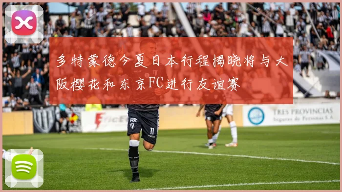 多特蒙德今夏日本行程揭晓将与大阪樱花和东京FC进行友谊赛